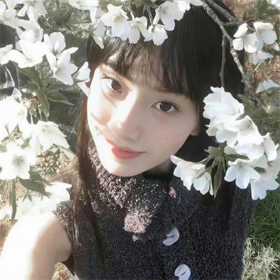 请君 在线观看